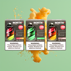 North FT12000 Vape