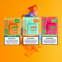 BLOCK 6000 Disposable Vape